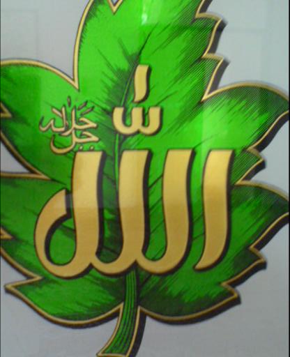 Having a Good Opinion of Allah