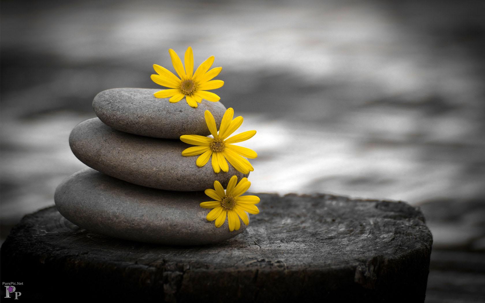 Peace and Comfort Is Only For the Faithful