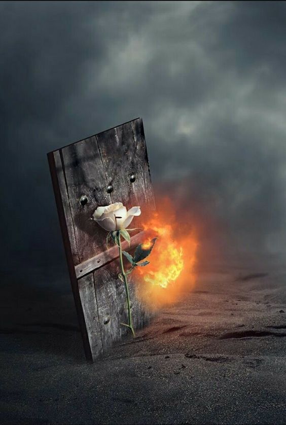 The Daughters of the Holy Prophet (SAW) in Captivity