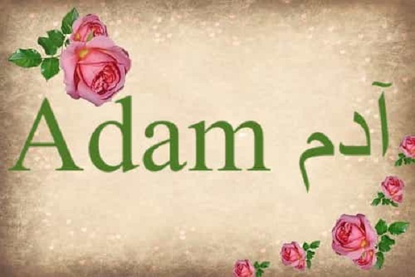Hazrat Adam (AS): Infallible or Sinner?