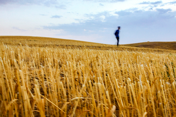 What Forbidden Fruit Did Adam Eat?