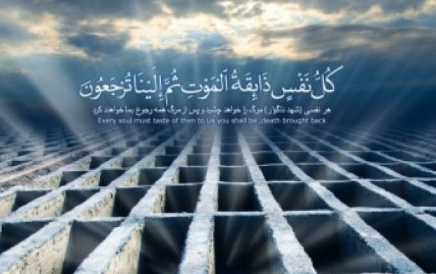سوال از ولایت امامان علیهم السلام در قبر و قیامت