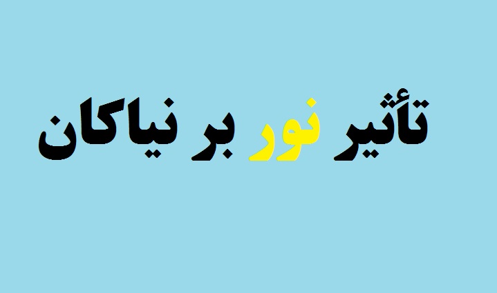 تأثير نور بر نياكان