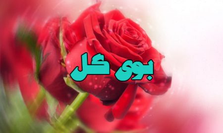 بوى گل پیامبر از زبان على علیه ‏السلام