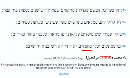 سند از اناجیل و تورات در باره اهل ببیت و امامان ۱۲گانه