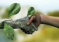 سیمای شیعه در نگاه امام صادق (ع)