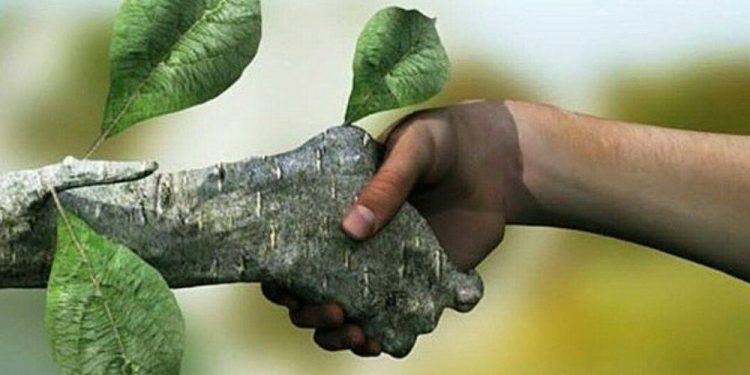 سیمای شیعه در نگاه امام صادق (ع)