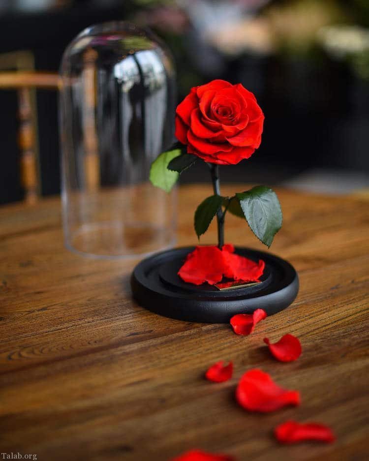 امر به معروف و نهی از منکر و سیاست جنایی
